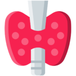 Thyroid