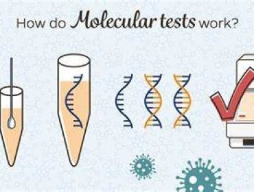 Molecular diagnostics